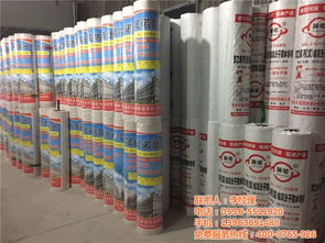 丙綸防水卷材 晟諾防水廠(chǎng)的專(zhuān)業(yè)施工與應(yīng)用